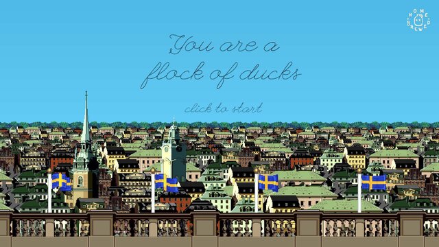 You are a flock of ducks