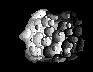 Asteroid School