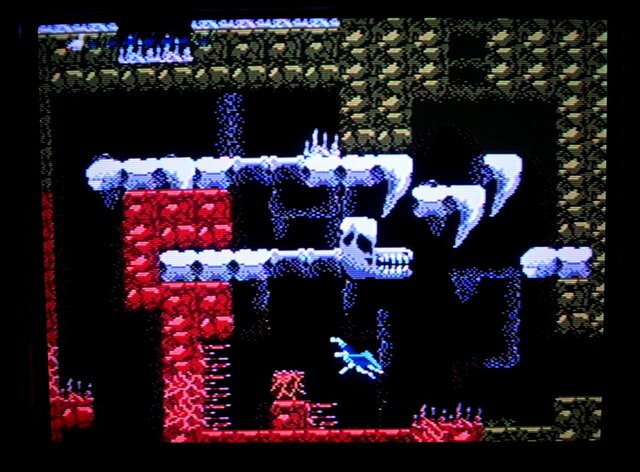[NES] Total Extinction