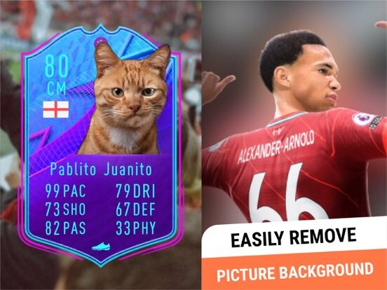 FUT Card Creator