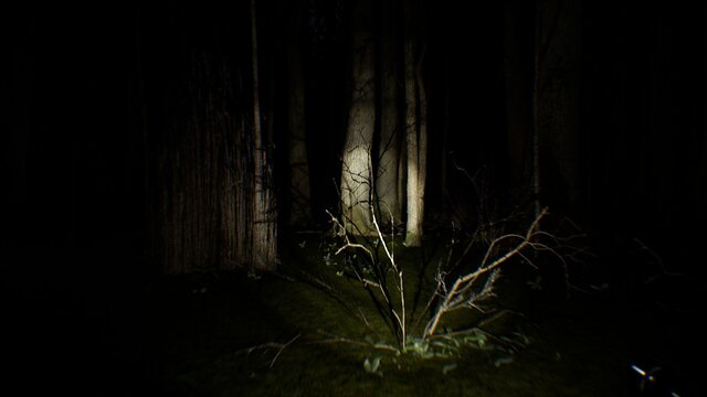 Search 4 Bigfoot