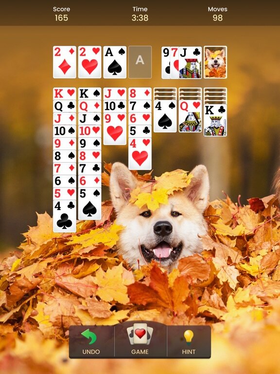 Solitaire - The #1 Card Game