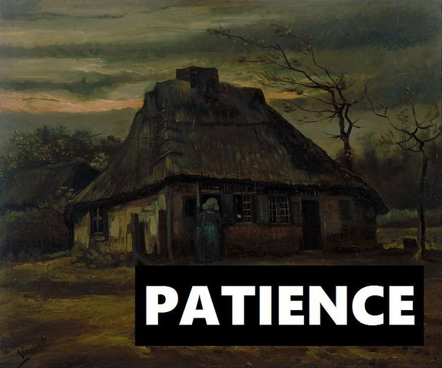 PATIENCE (gray darling)