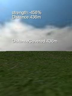 Bird Flying