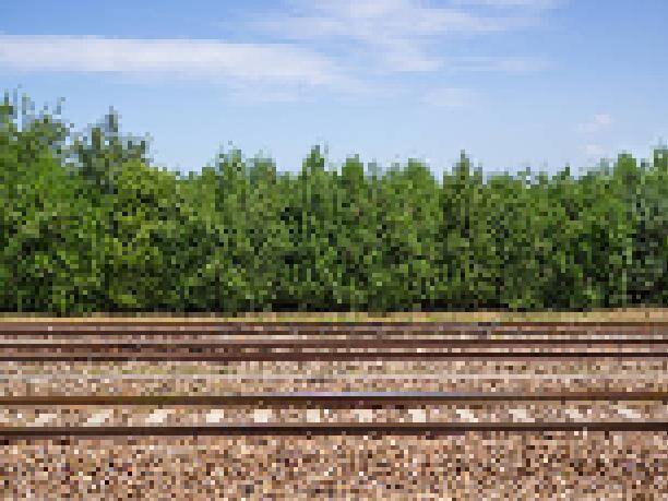 Wrong Side Of The Railroad