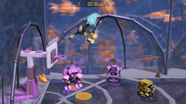 RoboDunk