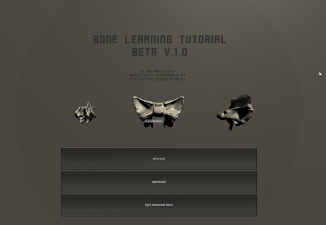 Bone Learning Tutorial
