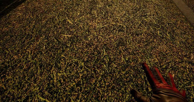 Touch Grass Together