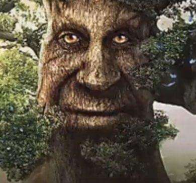 Mystical tree the game