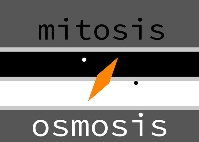 mitosis:osmosis