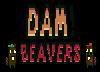 DAM! Beavers