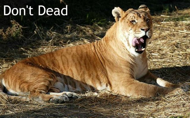 Don't Dead
