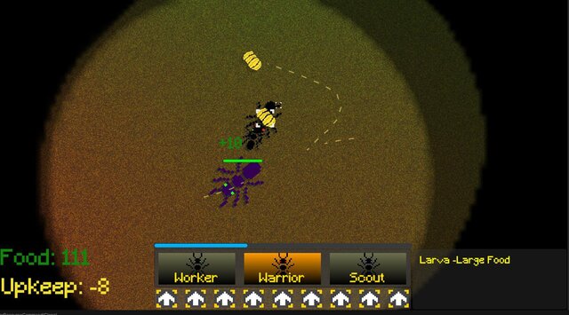 Ants Ants Ants