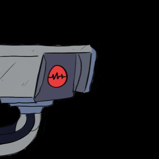 Camera Head