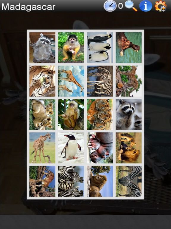 Real Madagascar