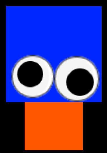 Blue Duck