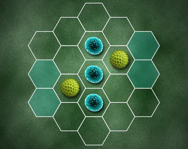 Micro-Versus