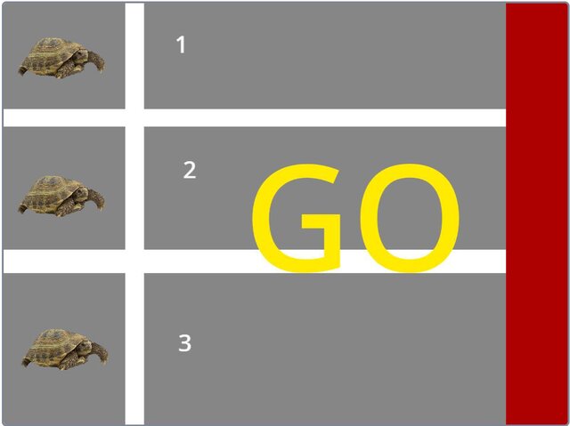 TURTLE RACE (Fire_turtleGamer)