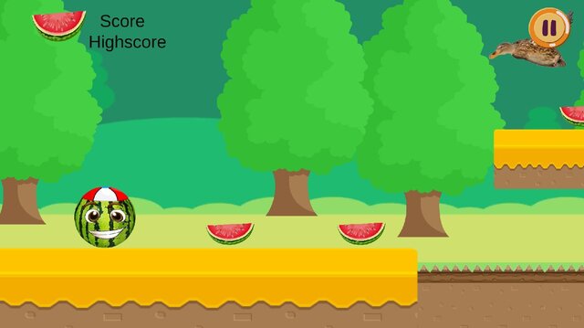 Watermelon Go