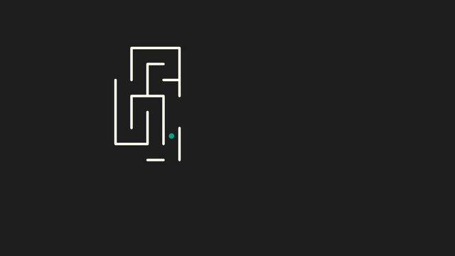vision\memory\maze