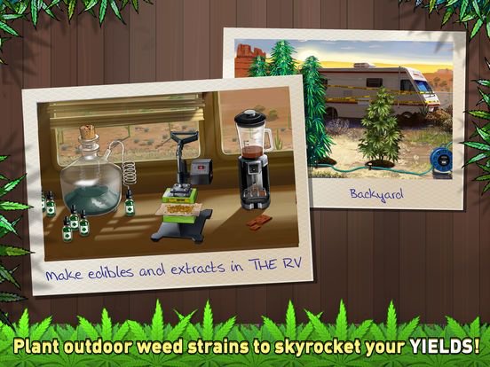 Weed Firm 2: Back To College