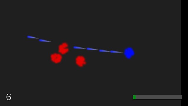 Particle Hunt