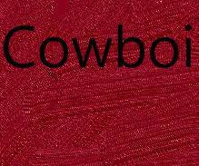 cowboi