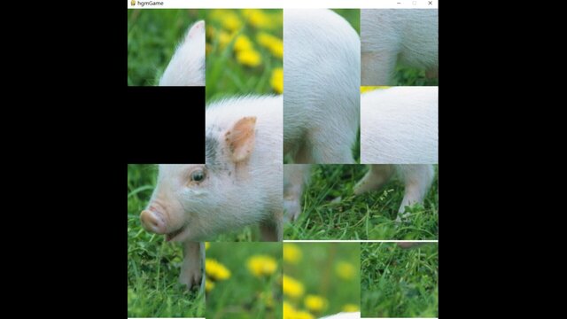 hgmGame-pig