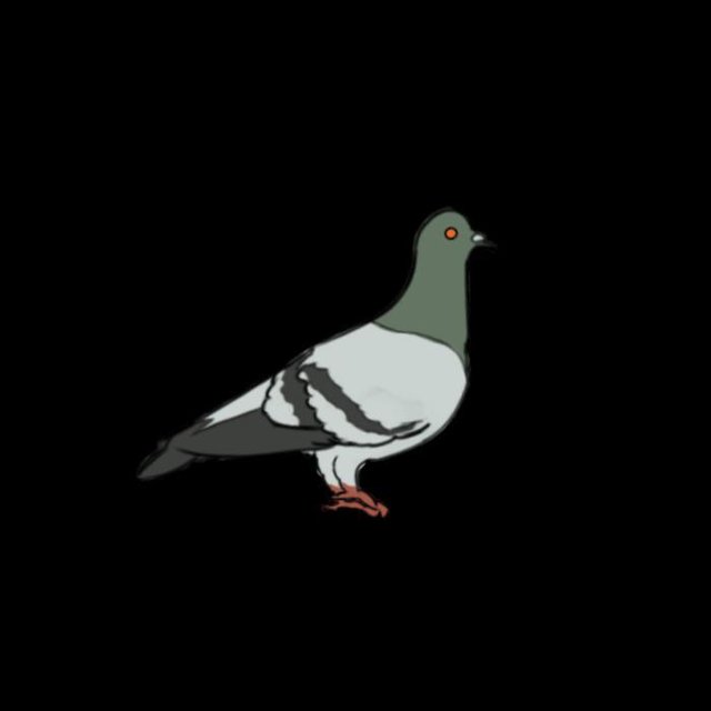THIS is what happens when you feed PIGEONS! (prototype to test mechanics)