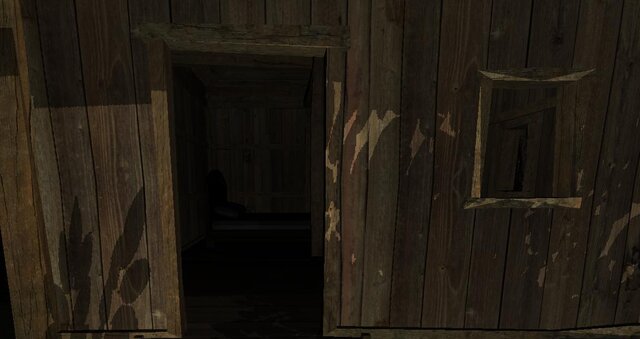 Woods In The Cabin