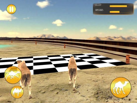 Desert King Camel Race