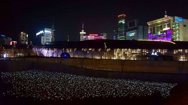 Dongdaemun Lights