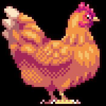 Q*bird