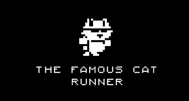 The famous cat runner 😼
