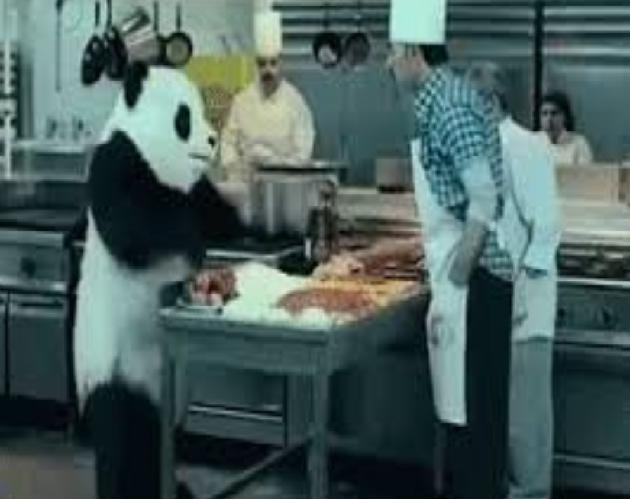 Panda in the kitchen