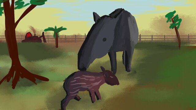 TapiRush