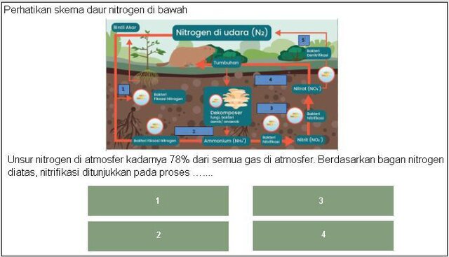 Bombum(Game Edukasi Materi Siklus Biogeokimia)
