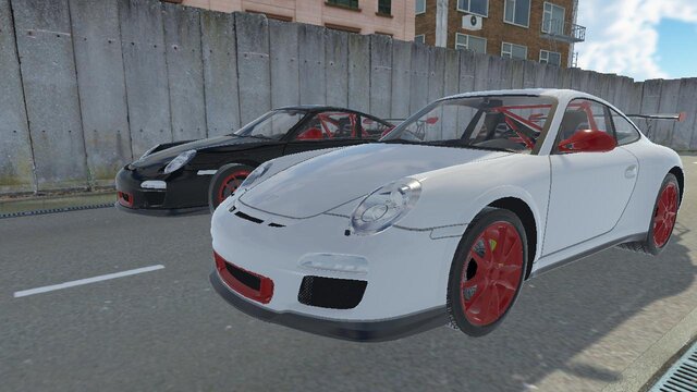 Pro Racer