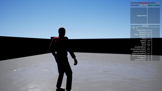 Advanced Ragdoll Simulation