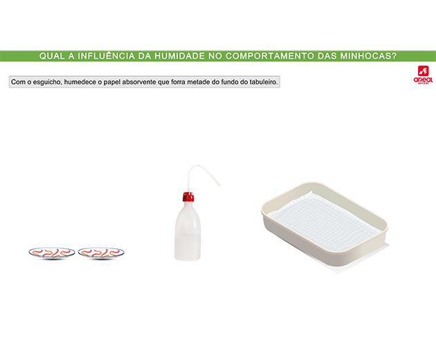 Lab Virtual 3