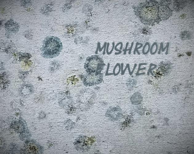 mushroom flower