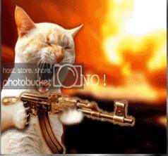 3 - Gato salvaje