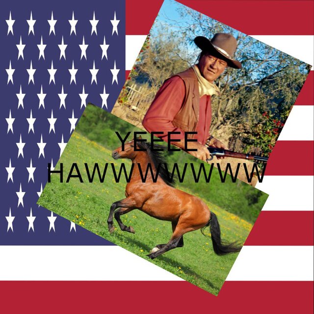 American Simulator (made by an american)