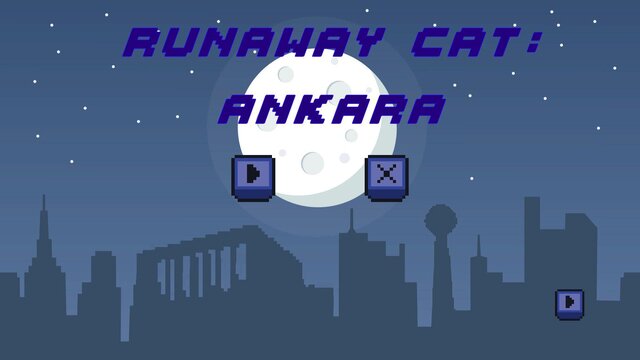 Runaway Cat: Ankara