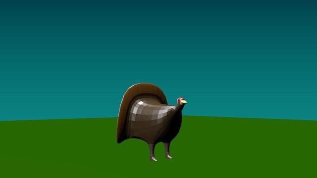 Turkey Hunt
