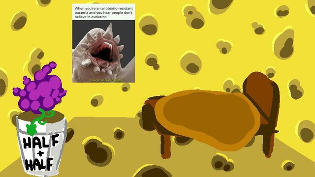 Spunj Act 1: microwaving your sponge