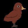 Bird Drop (AMA_AVA)