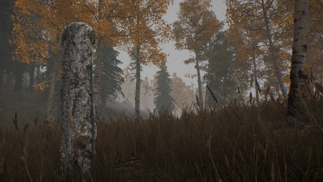 30km survival zone: Chernobyl
