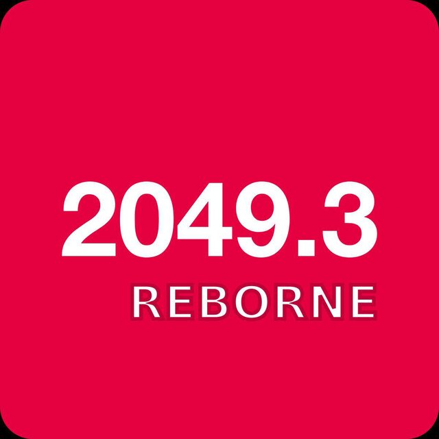 2049.3 RE-BORNE