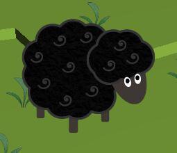 A Black Sheep journey